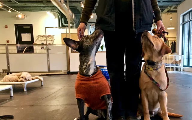 Brookside Walk + Train