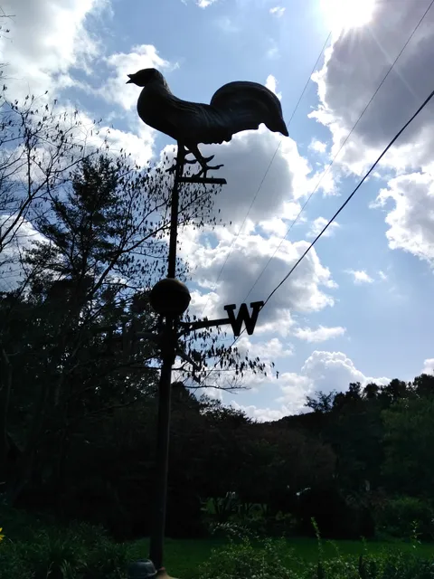 photo-1
