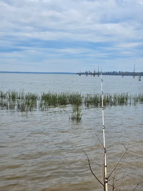 US Army Corps of Engineers