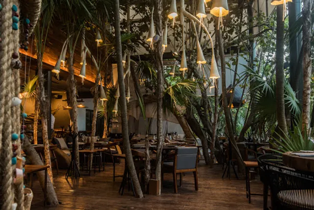 BAK’ | Fire Steakhouse