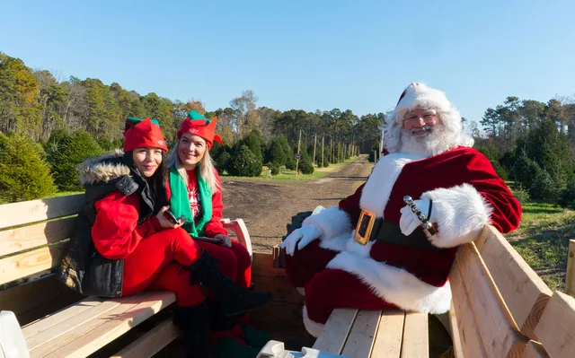 Forever Forest Christmas Experience