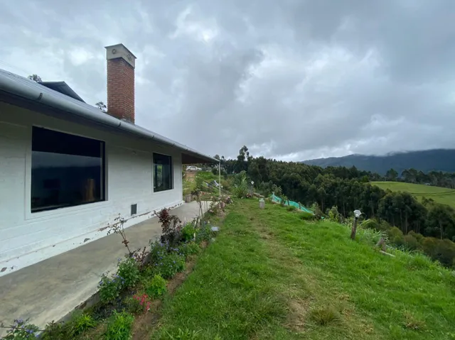 Hidden Hues Mountain Villa's Vattavada