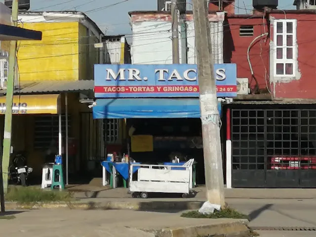 Mr. Tacos