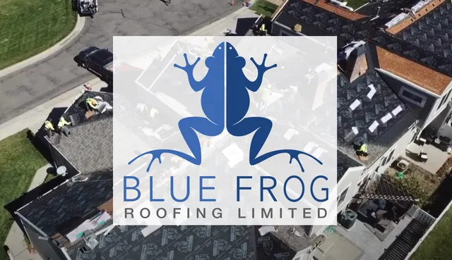 Blue Frog Roofing Limited