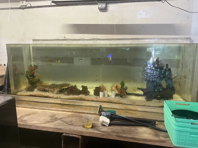 Atlantic Tropical Aquarium