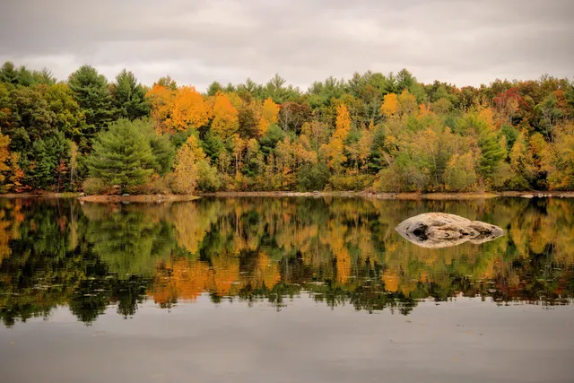 Nashoba Brook Watershed Trails