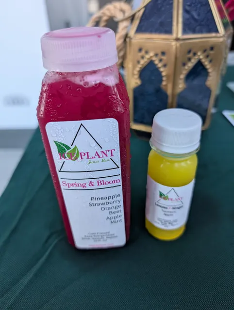 Ice Plant Juice Bar 🌱