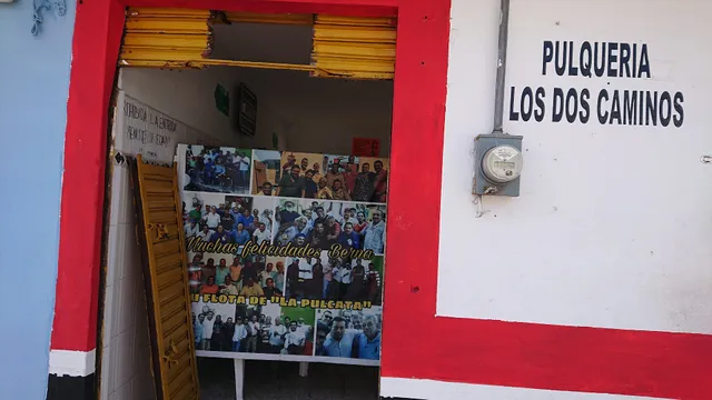 Pulqueria "Dos Caminos"