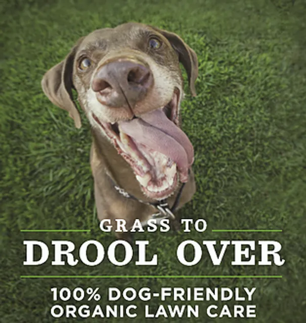 Clean Air Lawn Care Houston