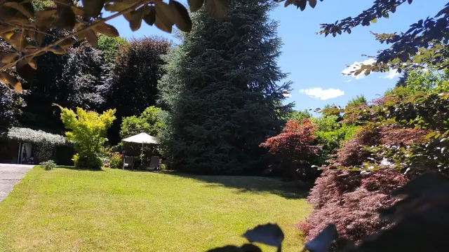 Monolocale in Casa Con Giardino