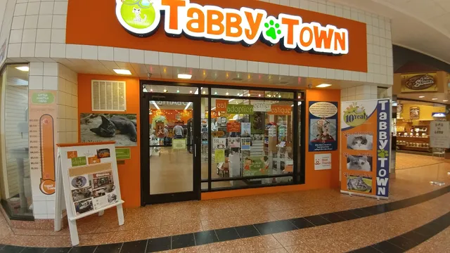 Tabby Town Cat Adoption Center