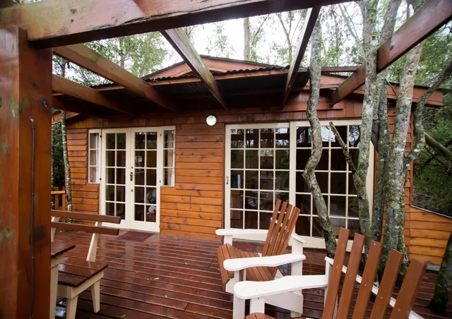 Fern Gully Forest Cabins