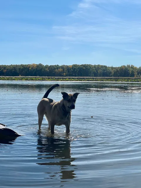 Yahara Heights Dog Park
