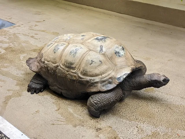 Reptile Discovery Center