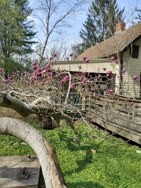 Andorra Natural Area