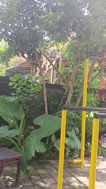 Kubu padi wooden house