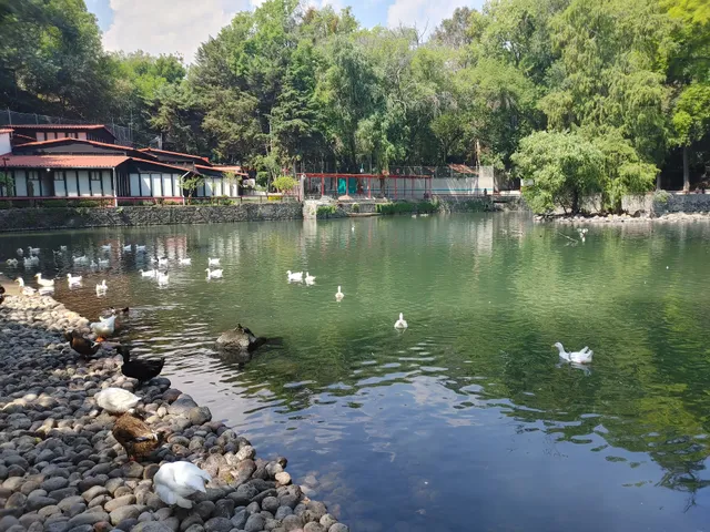 Fuentes Brotantes de Tlalpan National Park
