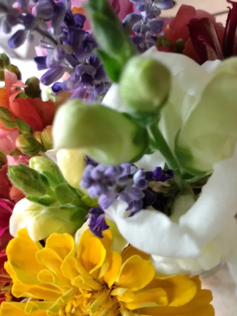 Kluznik Nursery & Farm Market