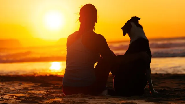 Yvonne Larson “The Neck Work Expert”