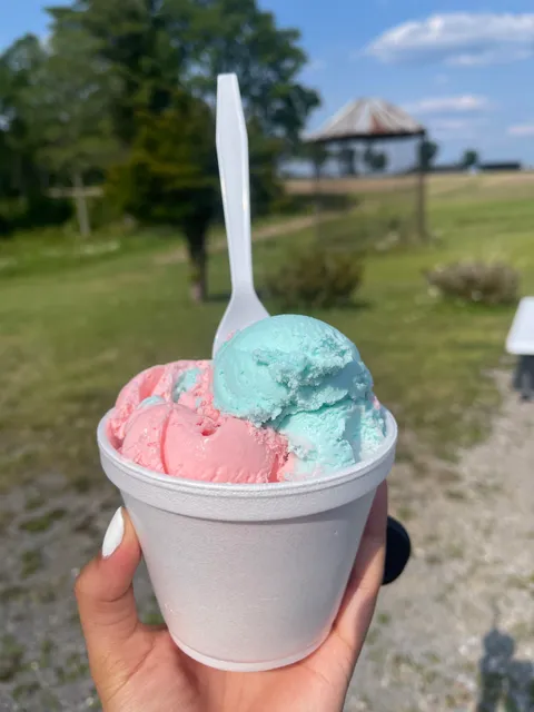 Sweet dreams ice cream shop