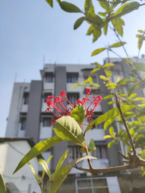 Pragjyotish Boys Hostel