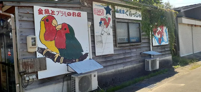 金魚屋ぐらっしゅ