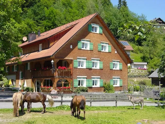 Hotel Gasthaus Schäfle