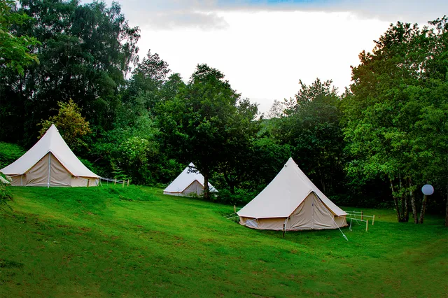 Lloyds Meadow Glamping( Book direct for best prices )