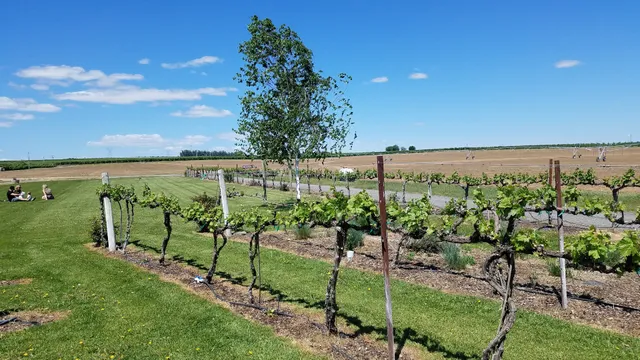 Beaumont Cellars Winery