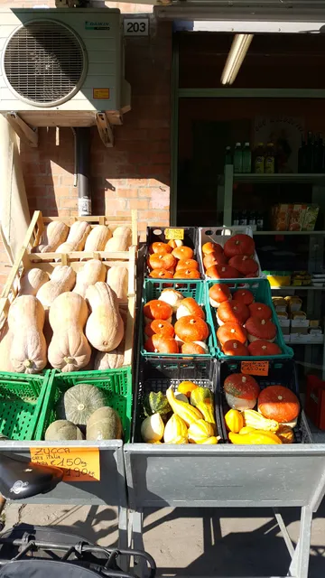 Big Fruit Di Ciappelloni Paola