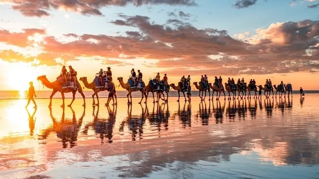 Broome Camel Safaris