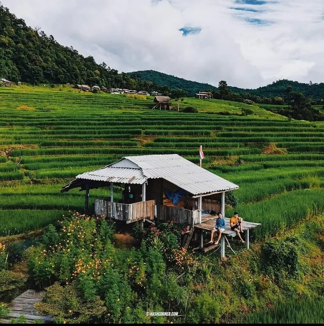 บ้านไม้ไผ่ ป่าบงเปียง