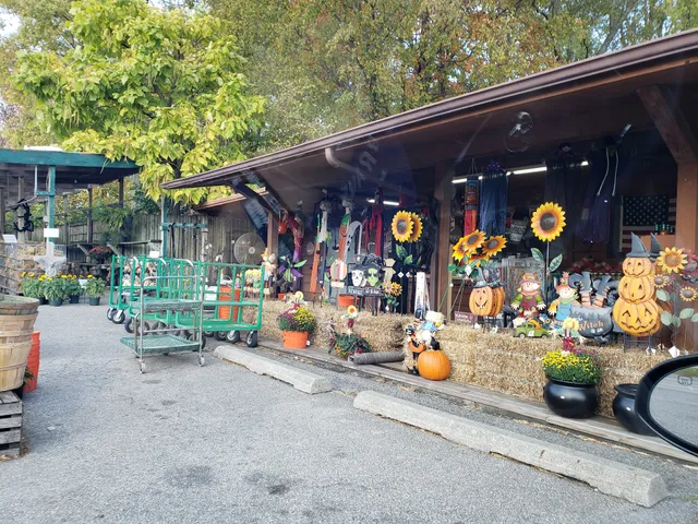 Top Banana Farm Market