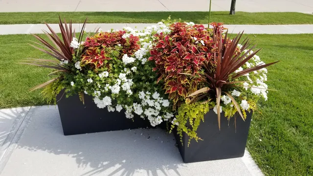 COUNTRY LANE GARDENS