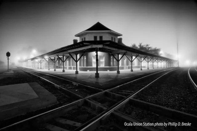 Magnolia Art Xchange