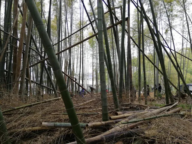 Muko City Mozume West Filtration Plant