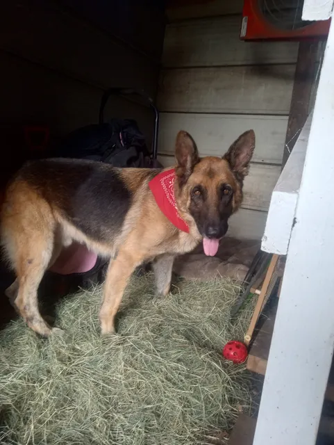 SPCA of Brazoria County