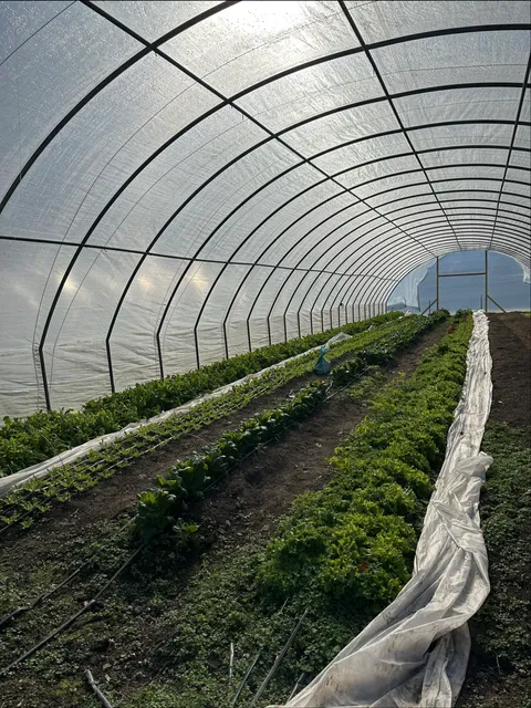 Fat Rabbit Farms