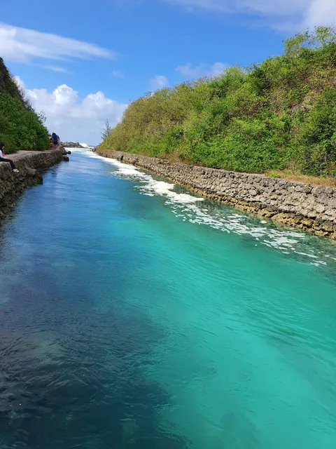 Valle Esmeralda De Caríce Flores
