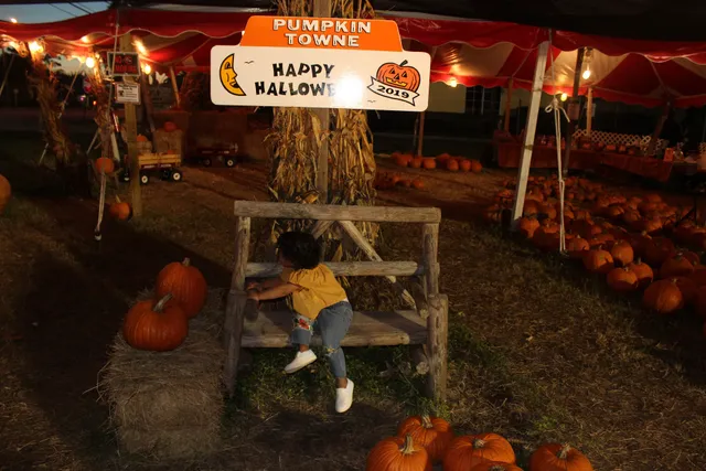 Pumpkin Towne Pumpkin Patches