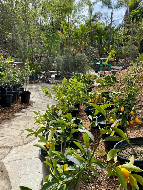 The Standard Design Group Nurseries