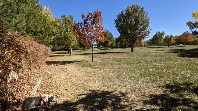 Matthew Meadows Park