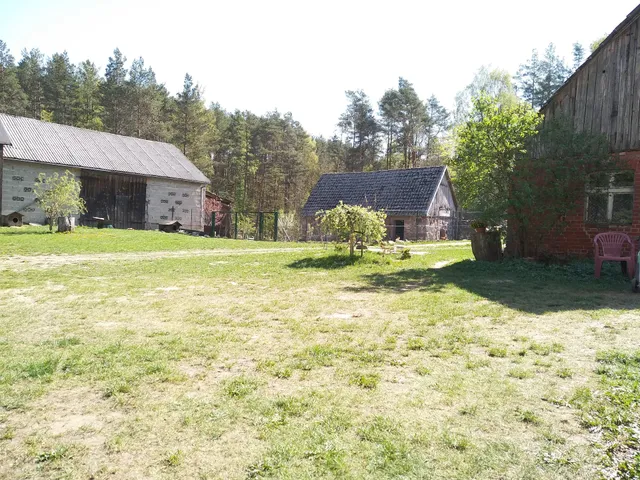 Agroturystyka Czarna Dąbrowa