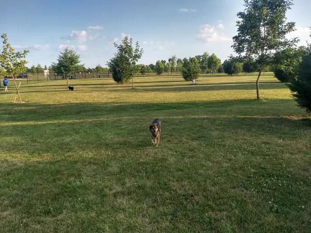 Delaware City Dog Park