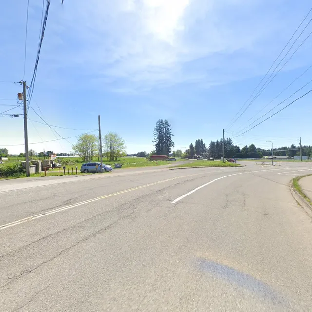 Silver Star Farms Inc