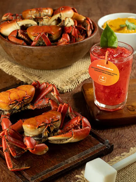 Dom Lambão Salvador