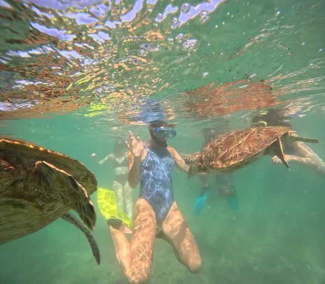 Mirissa Snorkeling & Fishing Tours