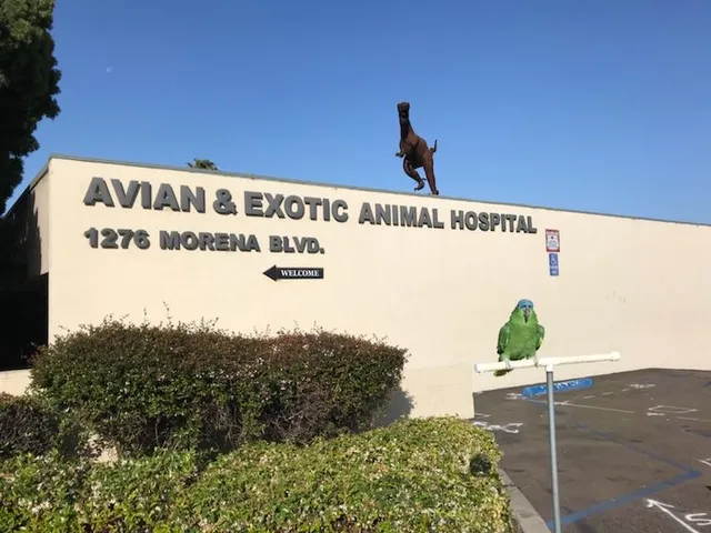 Avian & Exotic Animal Hospital, Inc.