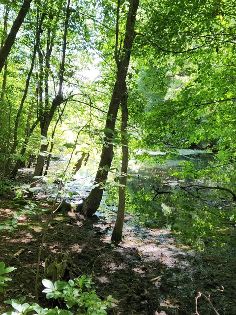 Middlesex Fells Reservation - Long Pond Parking Lot
