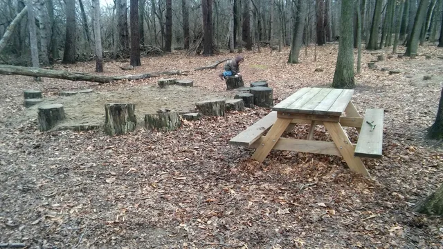 Nutshell At the Dahlem Center